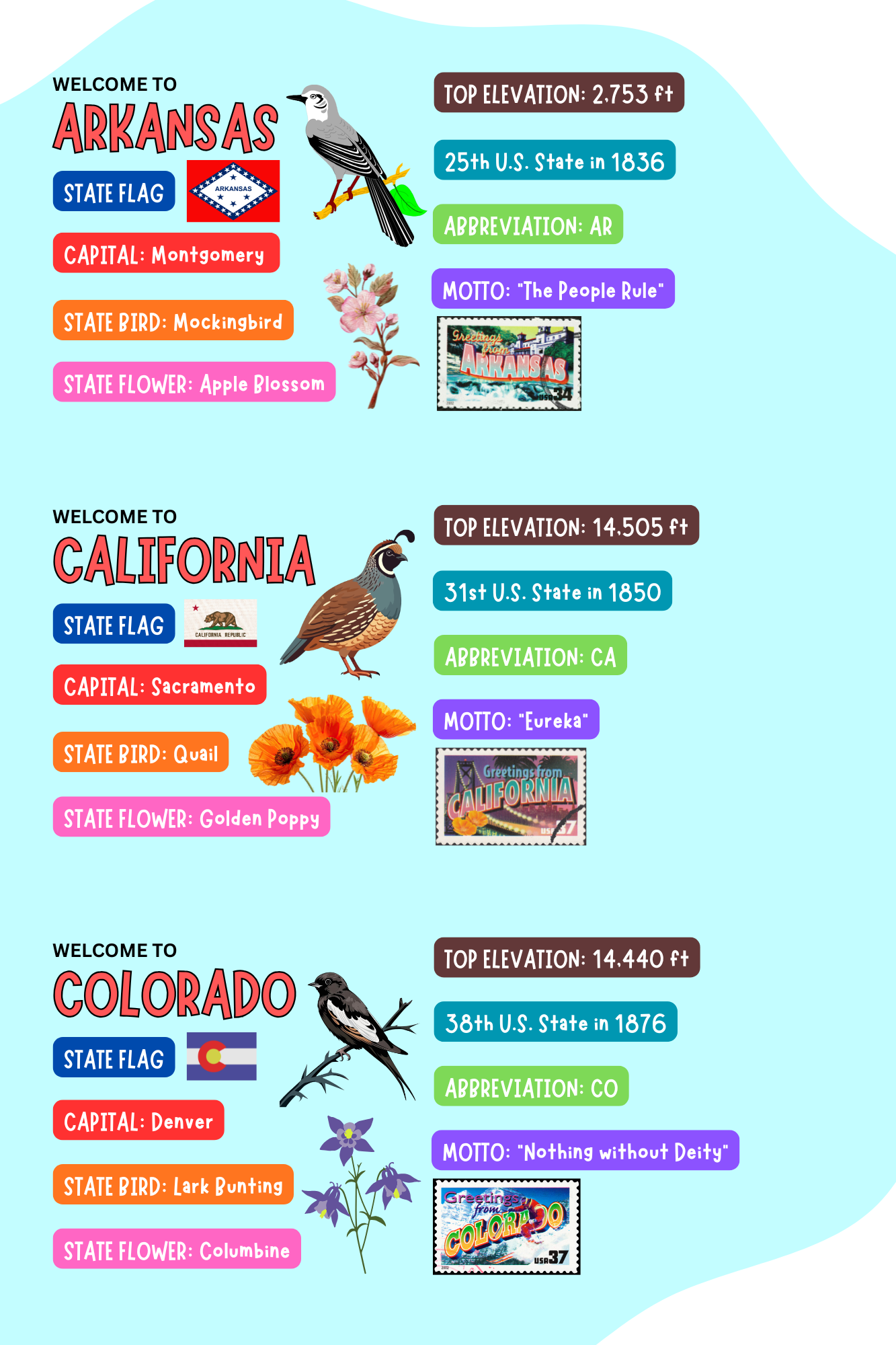 Weird Laws in the United States