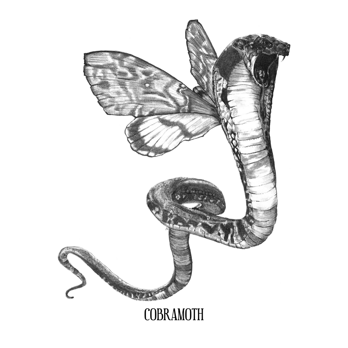 Cobramoth