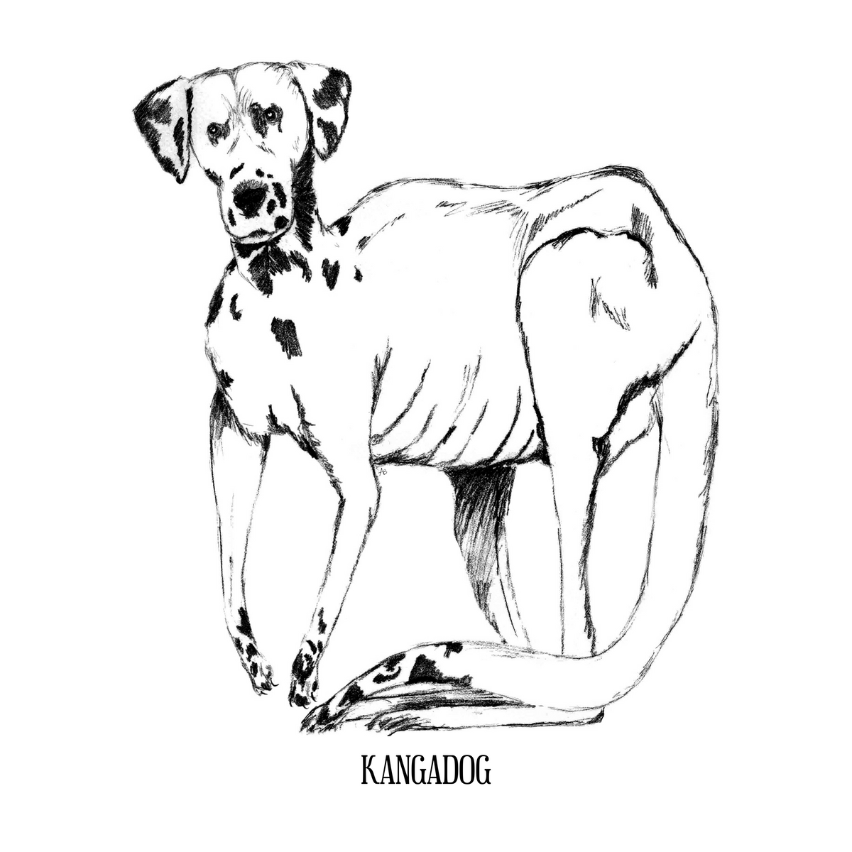 Kangadog