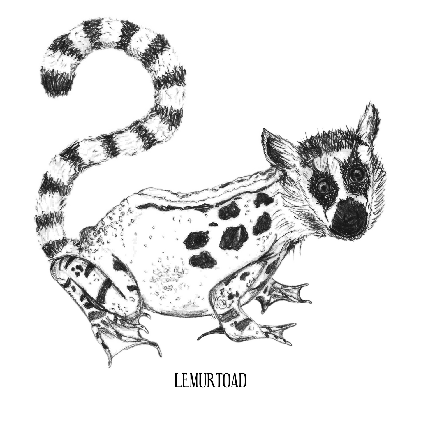 Lemurtoad