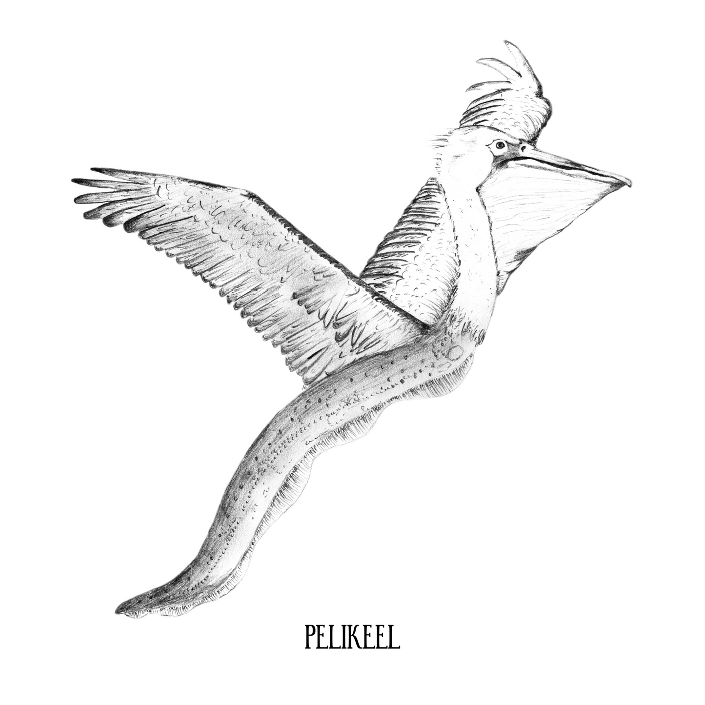 Pelikeel