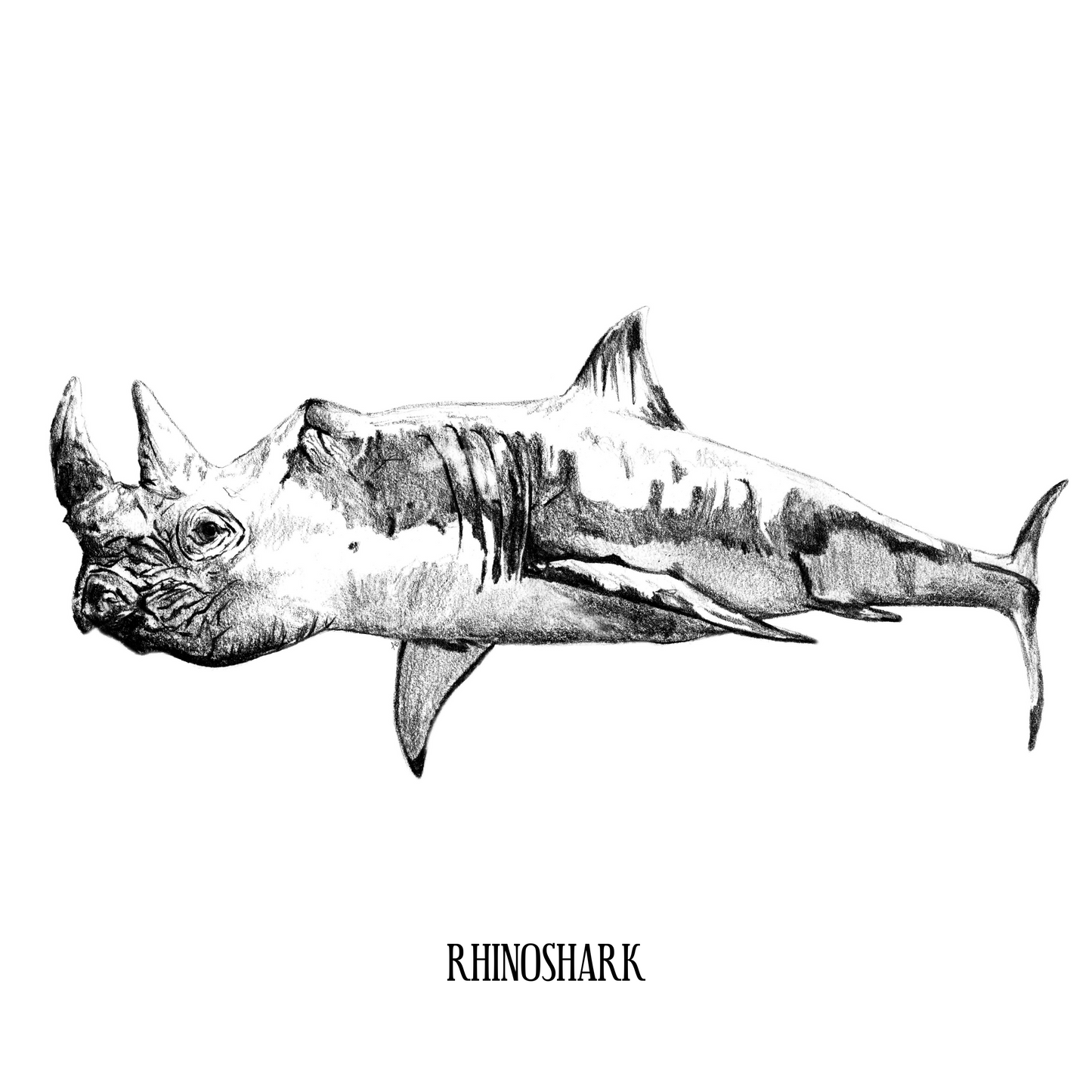 Rhinoshark