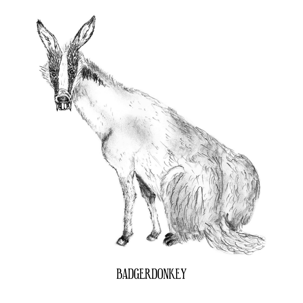 Badgerdonkey