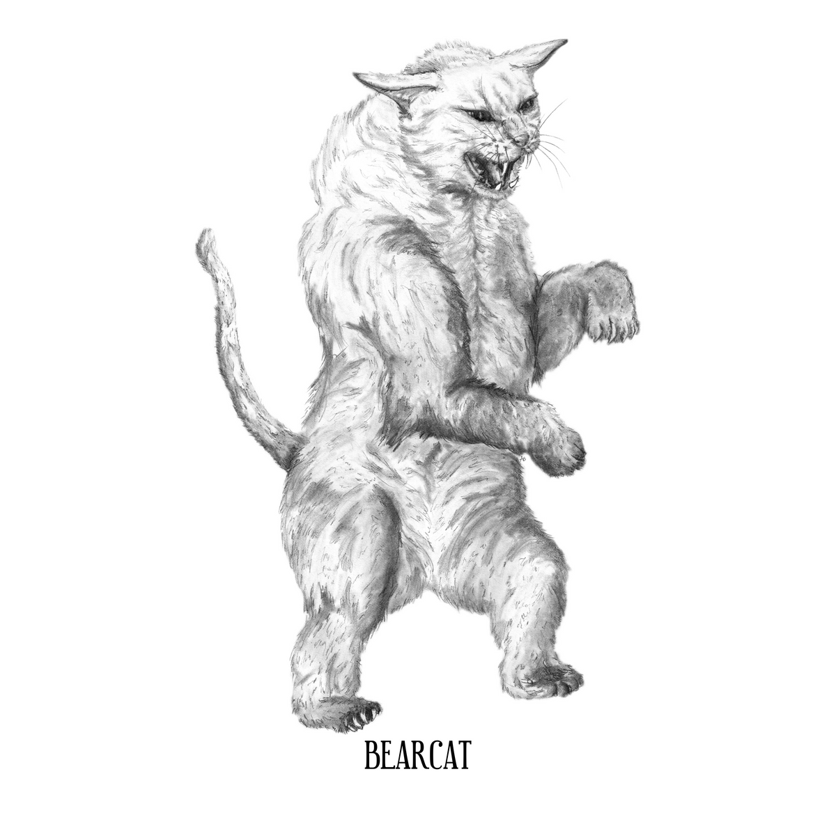 Bearcat