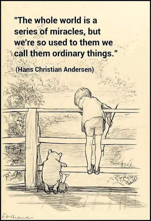 I love this quote!