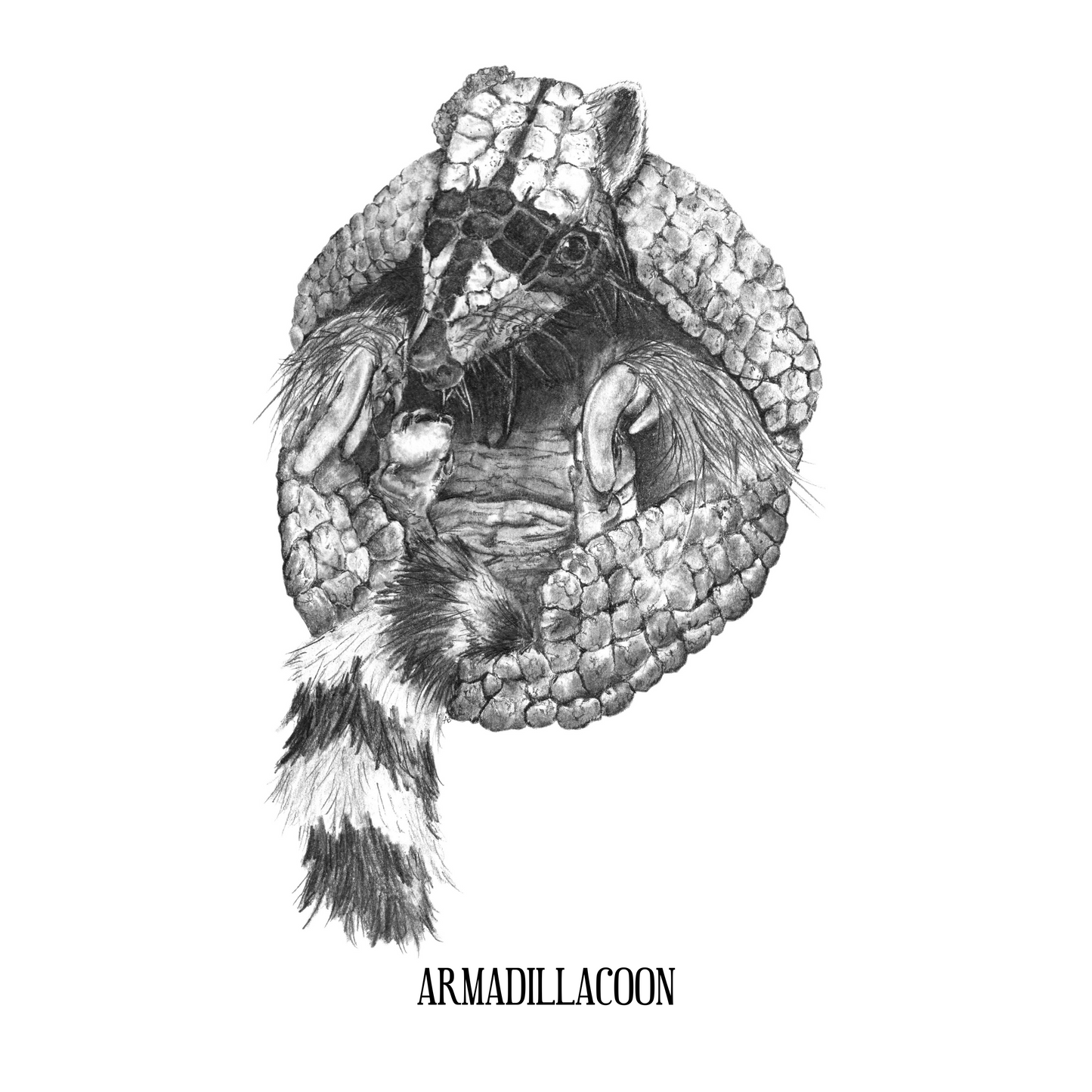 Armadillacoon
