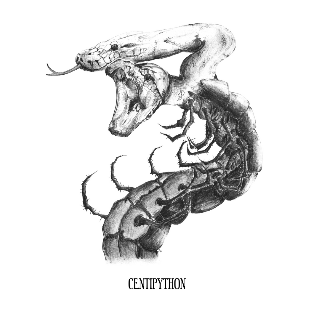 Centipython