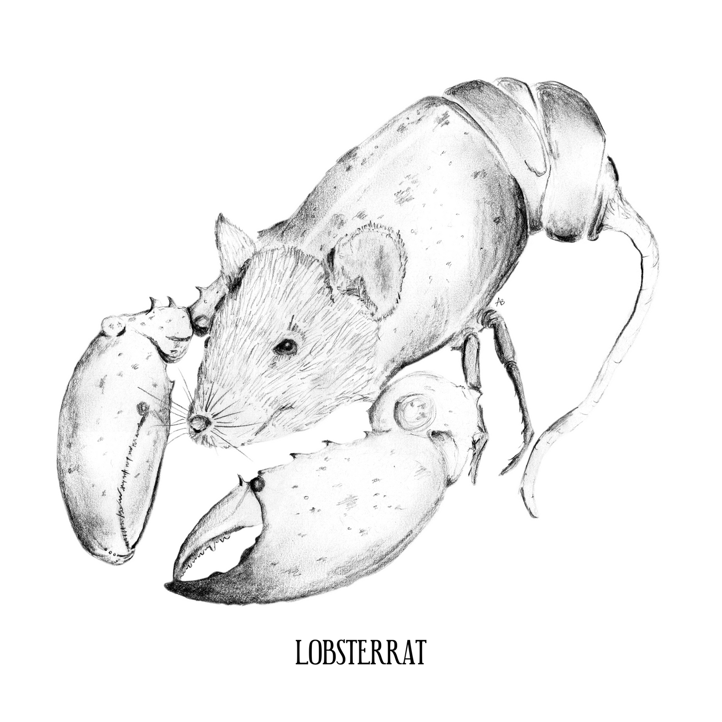 Lobsterrat