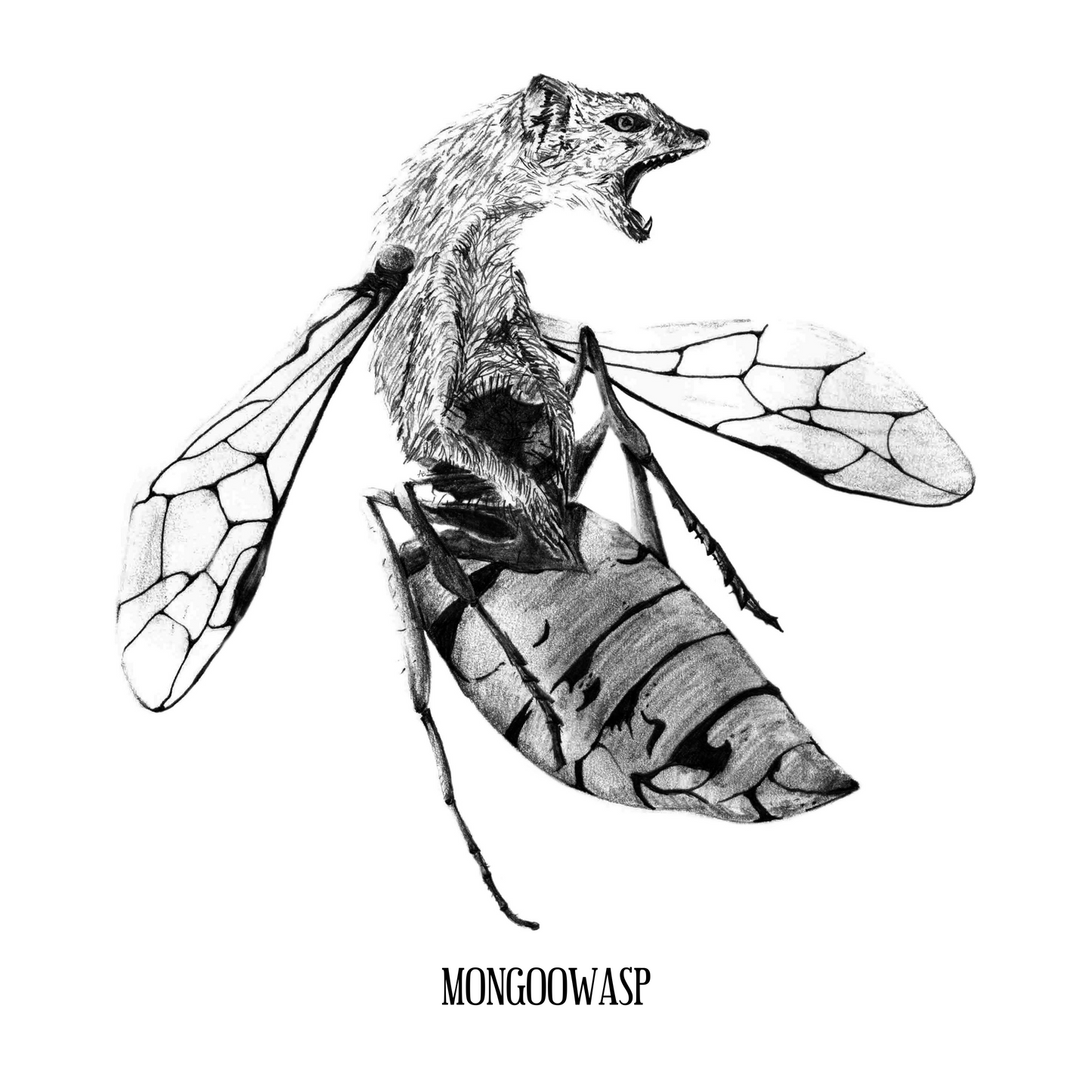 Mongoowasp