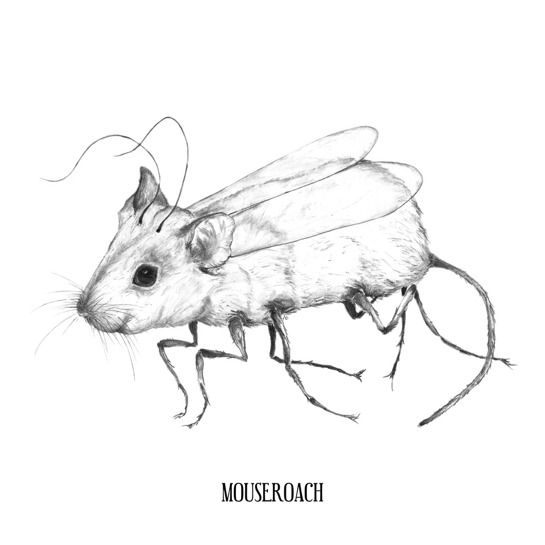 Mouseroach