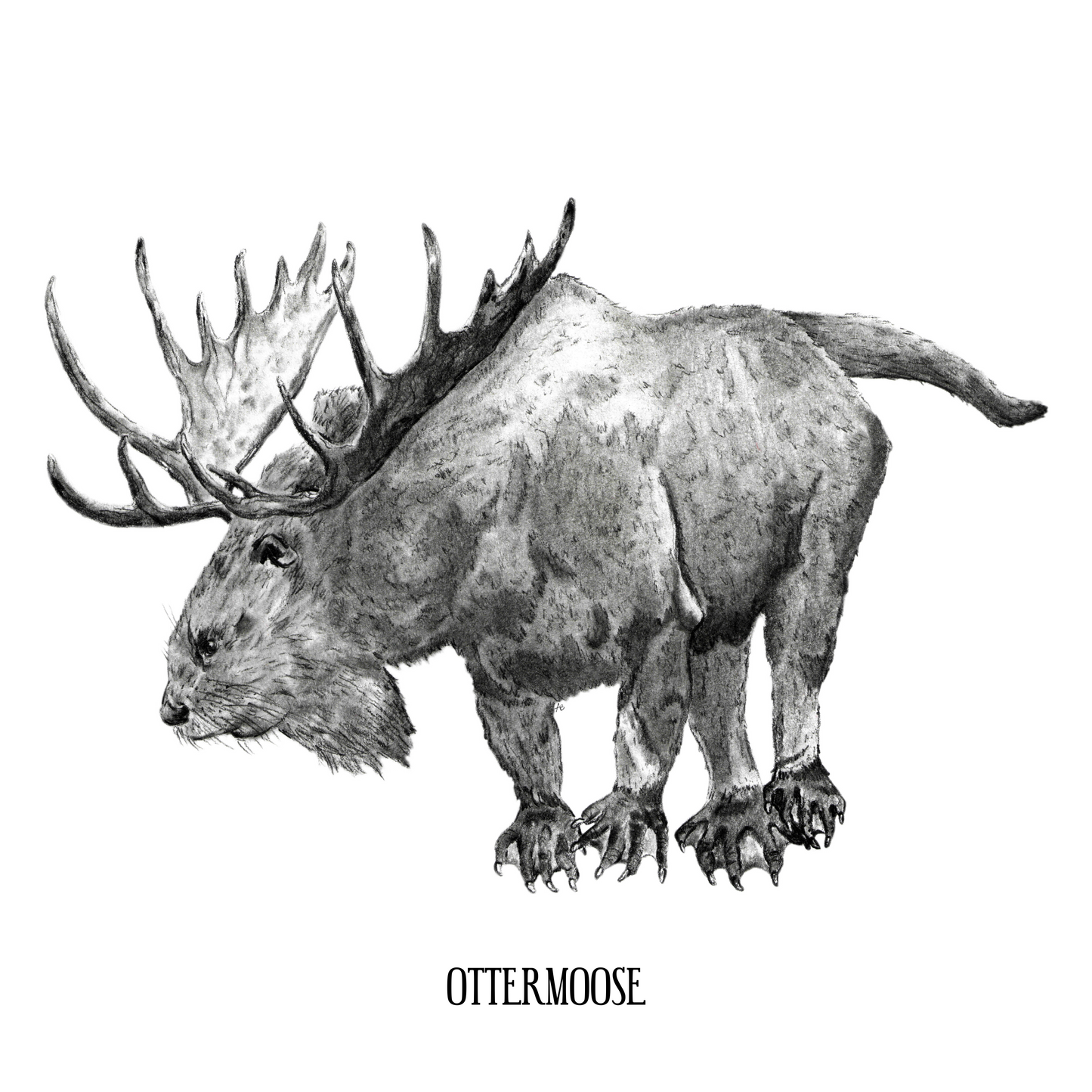 Ottermoose