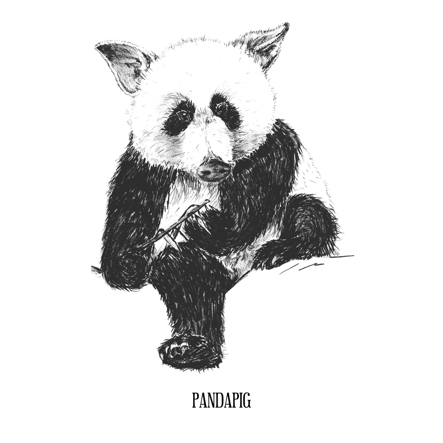 Pandapig