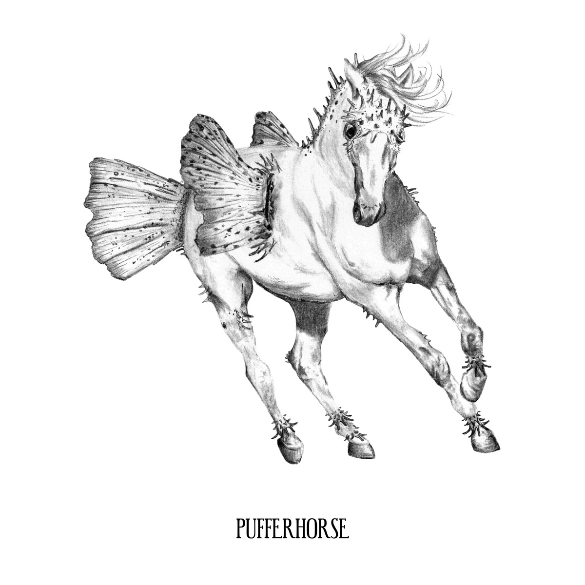 Pufferhorse