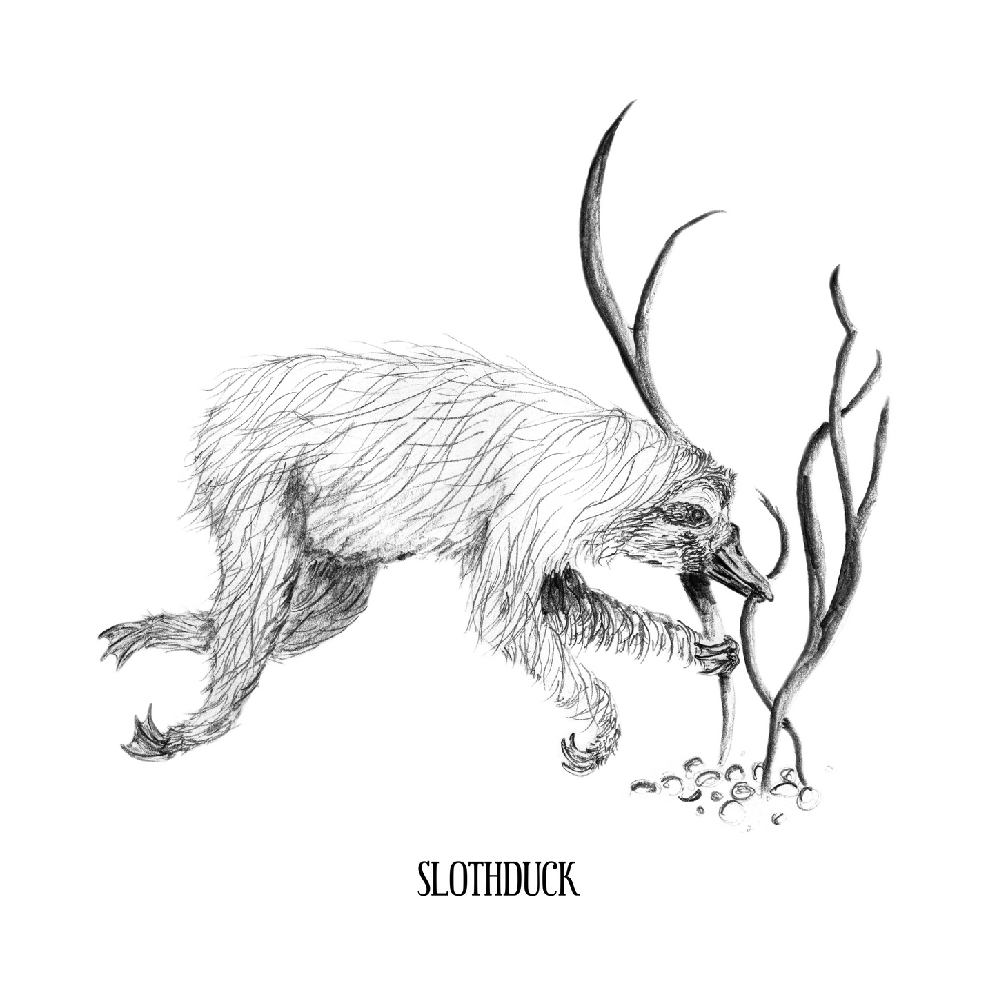 Slothduck