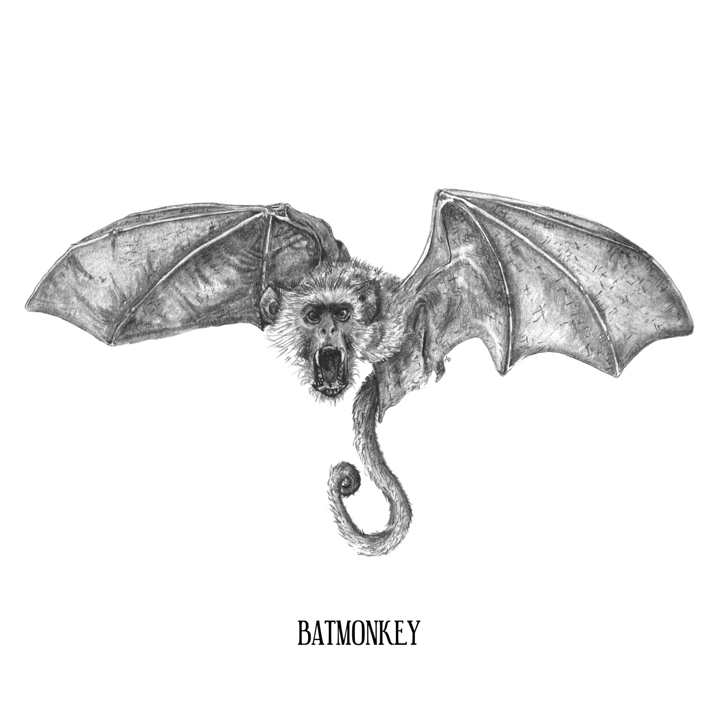 Batmonkey