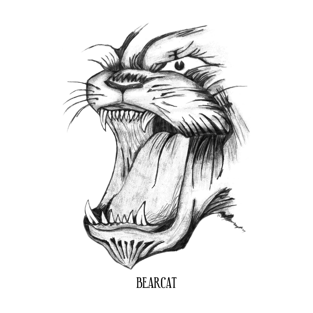 Bearcat (face)